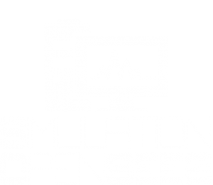 opensees simulation